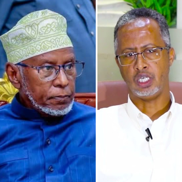 Dahabshiil and Telesom should stick to Somalia
